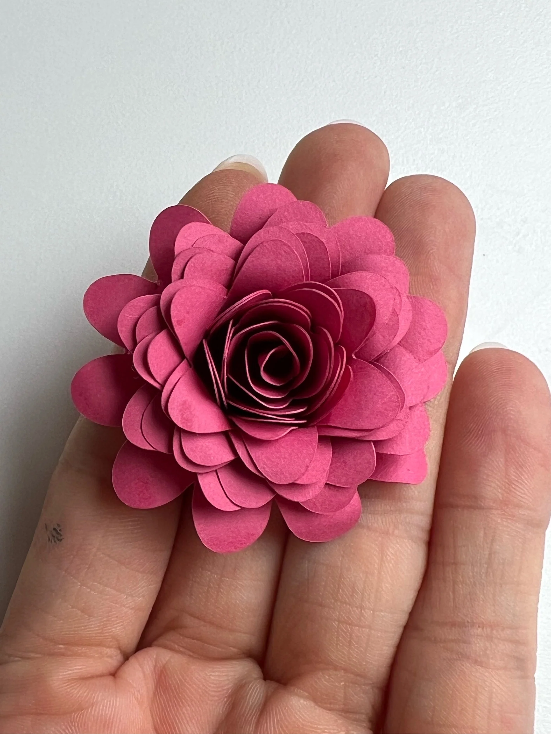 Blume Daisy SVG - Image 2