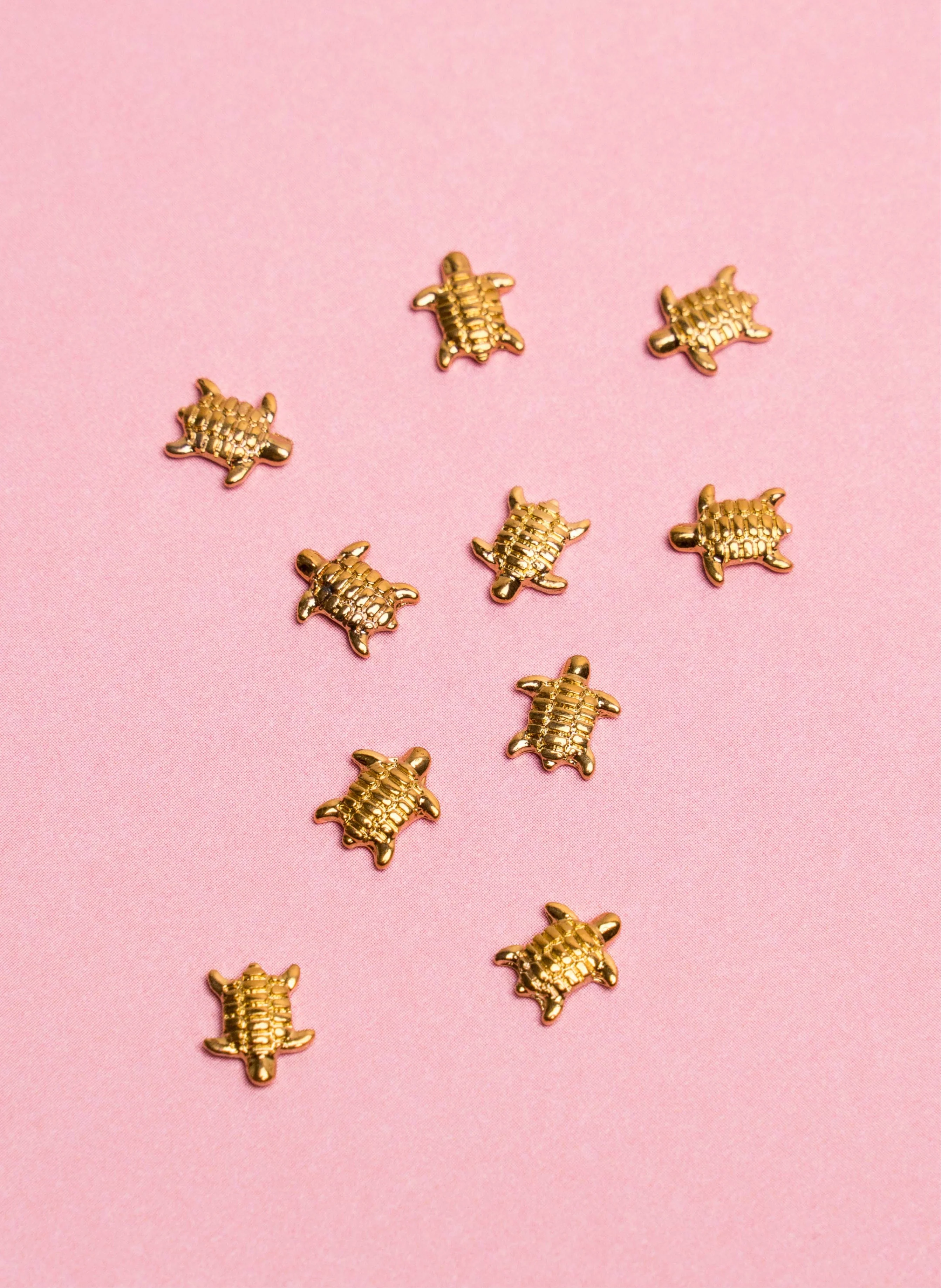 Schildkröte Basic Gold